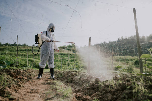 Pest Control Cost in Granite Shoals, TX