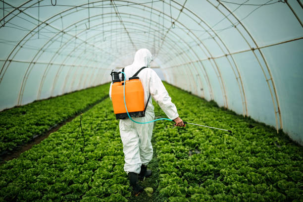 Best Best Pest Control Companies  in Granite Shoals, TX