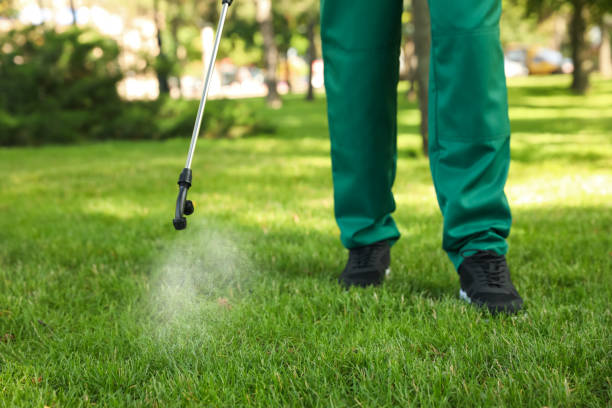 Best Termite Control Services  in Granite Shoals, TX