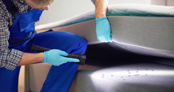Best Best Pest Control Near Me  in Granite Shoals, TX