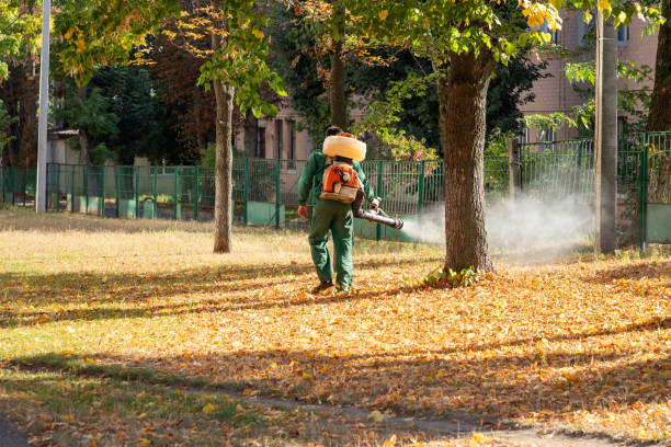Best Spider Control Near Me  in Granite Shoals, TX