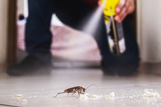 Best Pest Prevention Services  in Granite Shoals, TX