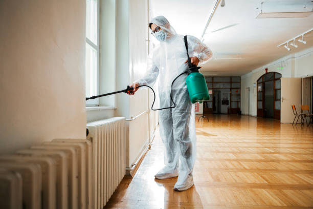 Best Ant Control Services  in Granite Shoals, TX