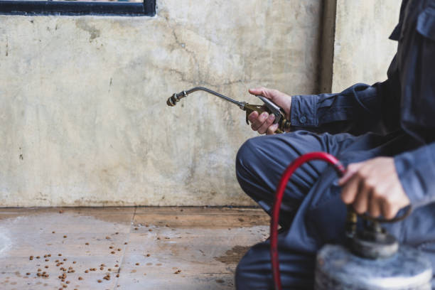 Best Pest Control for Restaurants  in Granite Shoals, TX